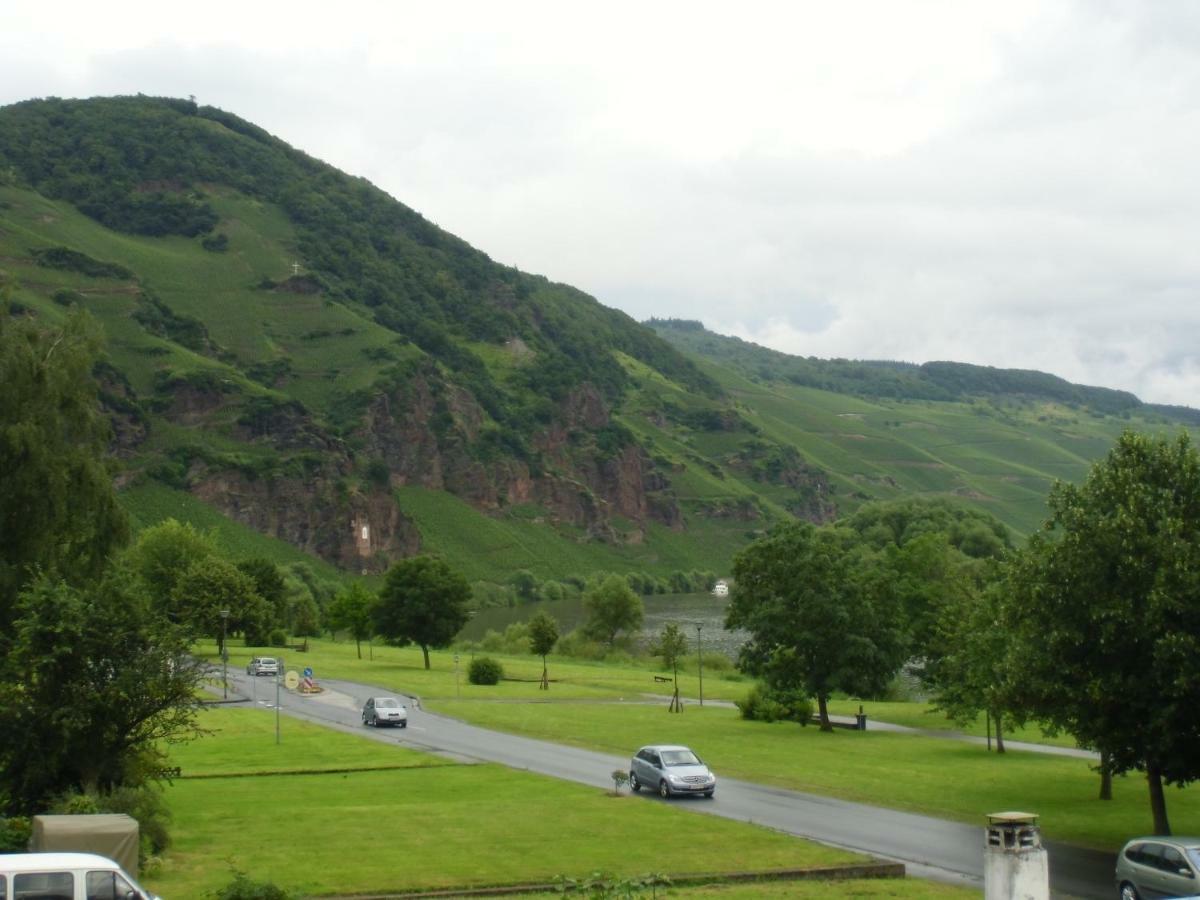 Mosel Ferienwohnung Ирциг Экстерьер фото